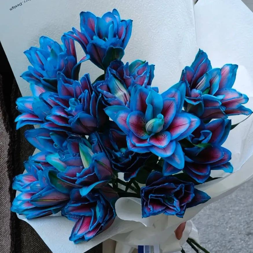🌷Double-Flowered Perfume Lily Bulbs