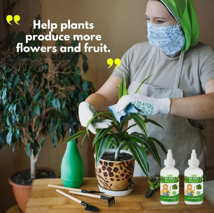organic plant boost - faster growth & stronger roots buy 1 get 2 free ( 3 pcs )