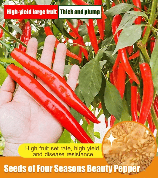 World's Best Selling Chili Seeds