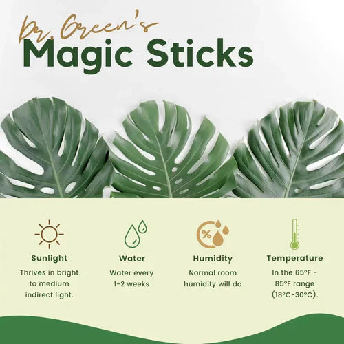Magic Plant Grow Fertilizer Sticks - Buy 1 Get 1 Free