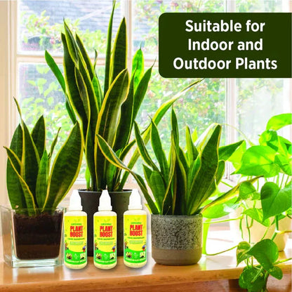 organic plant boost - faster growth & stronger roots buy 1 get 2 free ( 3 pcs )