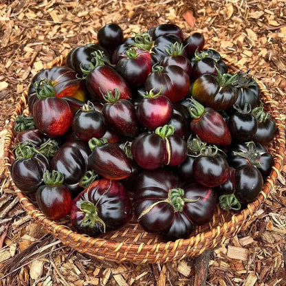 Black Pearl Tomato Seeds🍅Sweet & High Yield